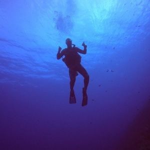 Meet your Posher, Bryce